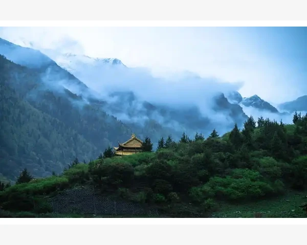冬季养生，以滋补为主，享受健康美好的寒季生活